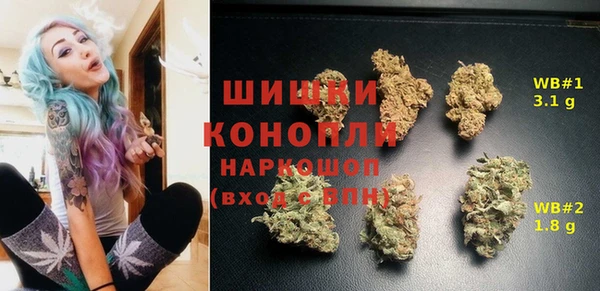 ПСИЛОЦИБИНОВЫЕ ГРИБЫ Горняк