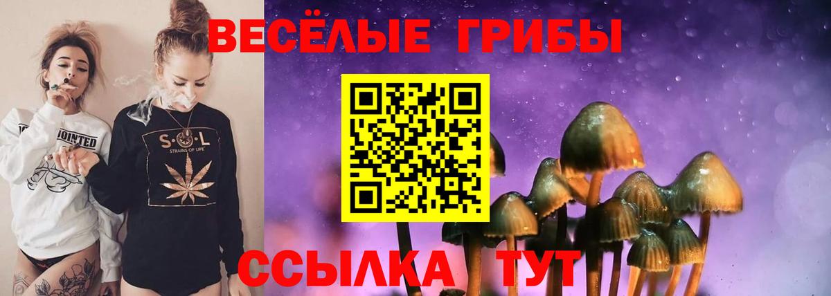 Псилоцибиновые грибы прущие грибы  Галлюциногенные грибы Psilocybine cubensis  Улан-Удэ  Вход с VPN 